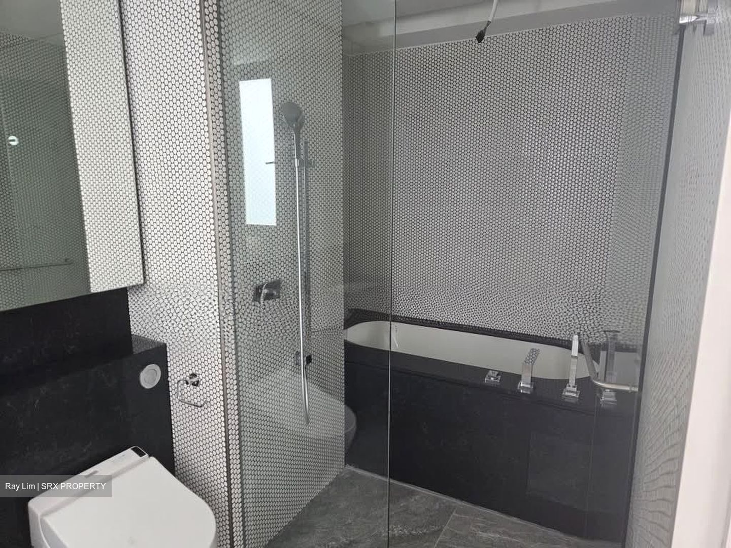 10 Evelyn (D11), Apartment #536953401